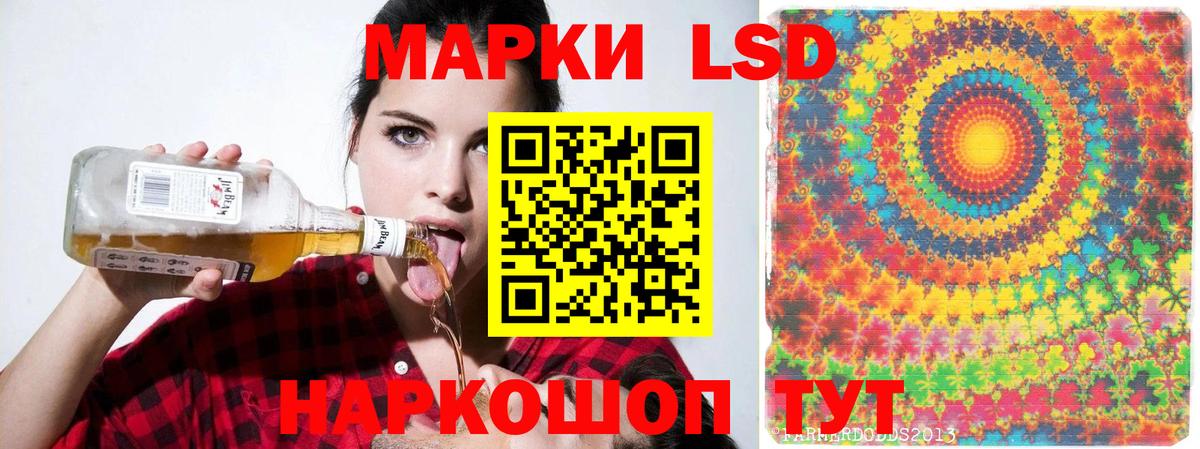 Лсд 25 экстази ecstasy  Вход с VPN  Бердск 