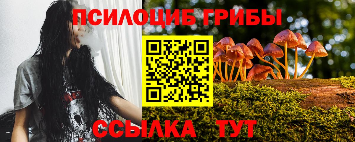 Бердск  Галлюциногенные грибы мухоморы  Псилоцибиновые грибы GOLDEN TEACHER  Вход с VPN 