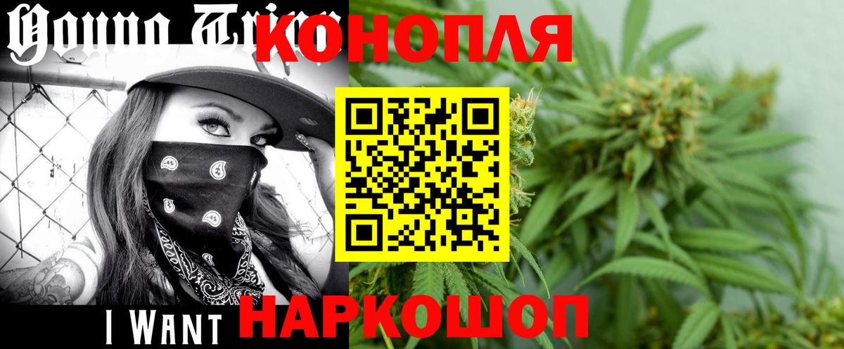 Конопля AK-47  МАРИХУАНА OG Kush  Вход с VPN  Бердск  МАРИХУАНА семена 